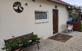 studio avec terrasse Le Loup